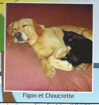 Choucrette (avec le chien Figon)